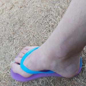 Profile picture of SookieJay