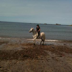 Profile picture of HorseyHannah