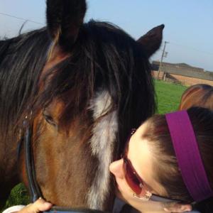 Profile picture of HorseWhisperer