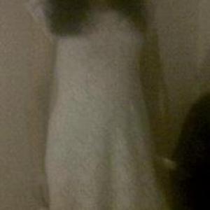 Profile picture of CoyHay