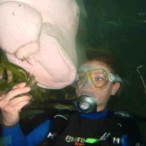 Profile picture of Luvinglifenow
