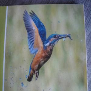 Profile picture of Naturelover