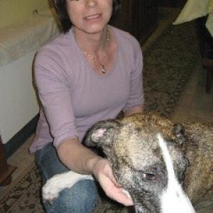 Profile picture of Lifelover