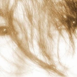 Profile picture of MYSTERIOUSCUNT